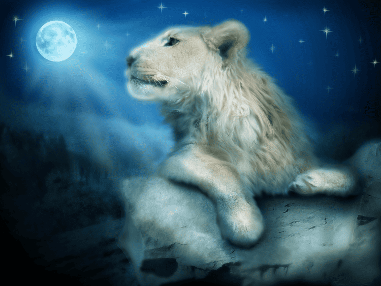 Full Moon in Leo 2024 - And Tarot Readings for Each Zodiac Sign