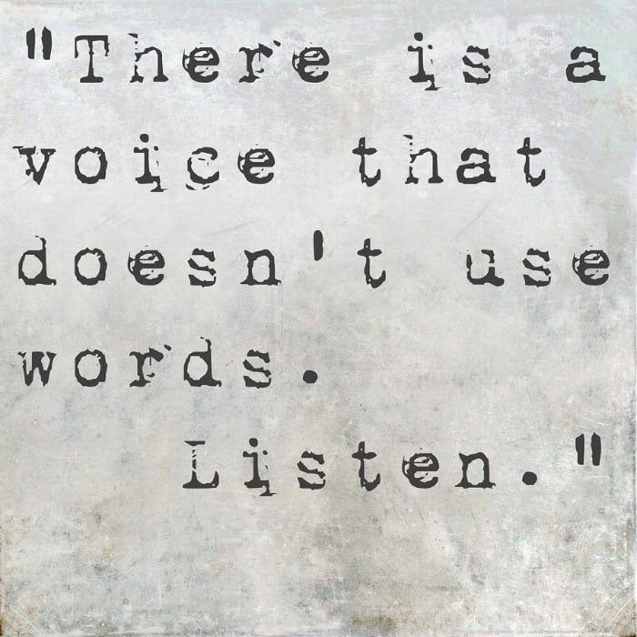 Using Your Intuition in Your Business