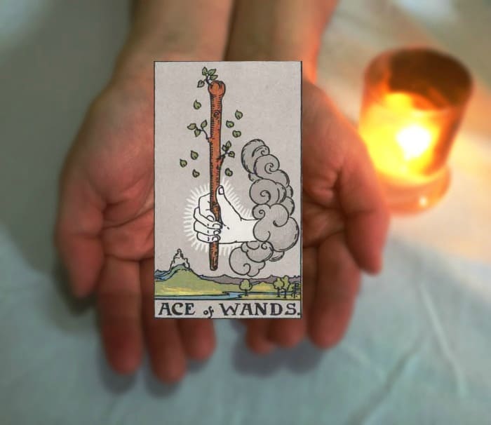 Tarot Advice - Guidance in Every Card: Ace of Wands 