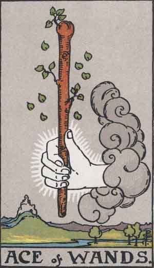 Tarot Card Meanings - Ace of Wands