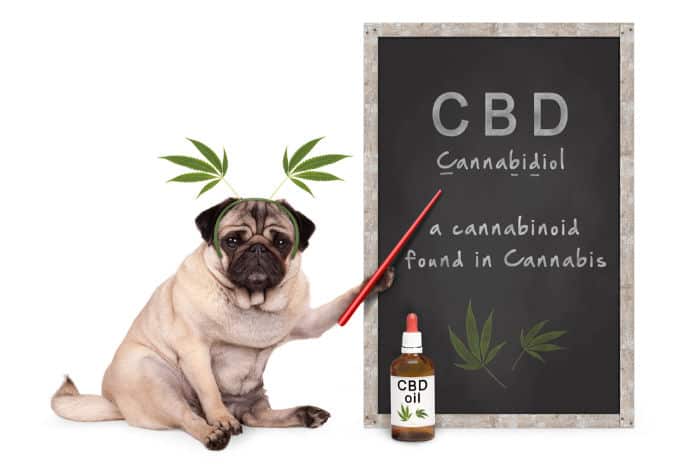 The Hit List – I’m down with CBD