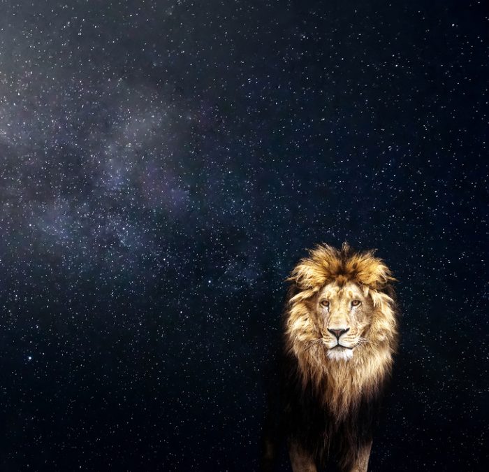 New Moon in Leo 2019 – and Tarot Readings for Each Zodiac Sign