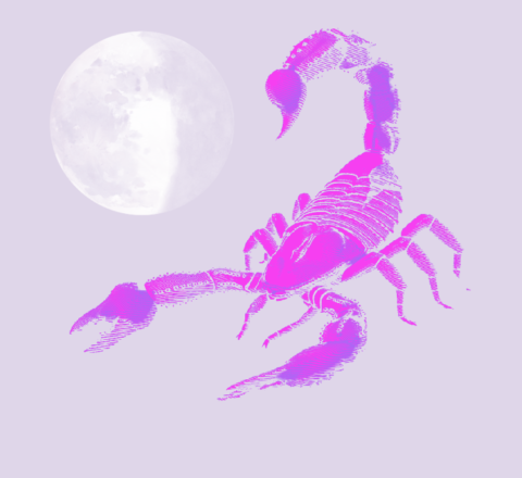 New Moon in Scorpio 2020 - and Tarot Readings for Each Zodiac Sign ...