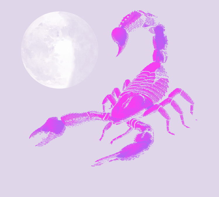 New Moon in Scorpio 2020 – and Tarot Readings for Each Zodiac Sign