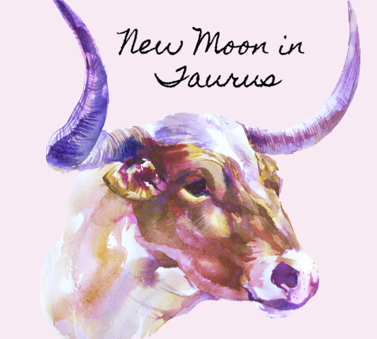 New Moon in Taurus 2020 – and Tarot Readings for Each Zodiac Sign