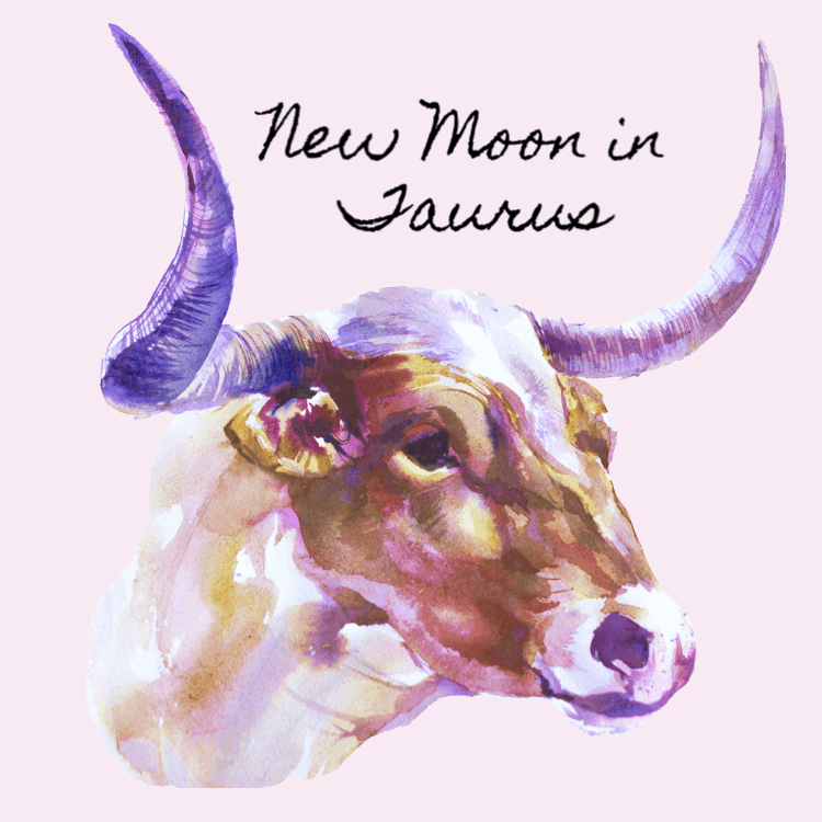 New Moon in Taurus 2020 - and Tarot Readings for Each Zodiac Sign