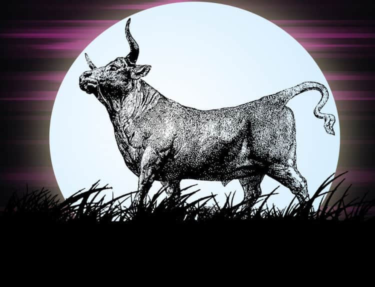 Full Moon in  Taurus 2020 – and Tarot Readings for Each Zodiac Sign