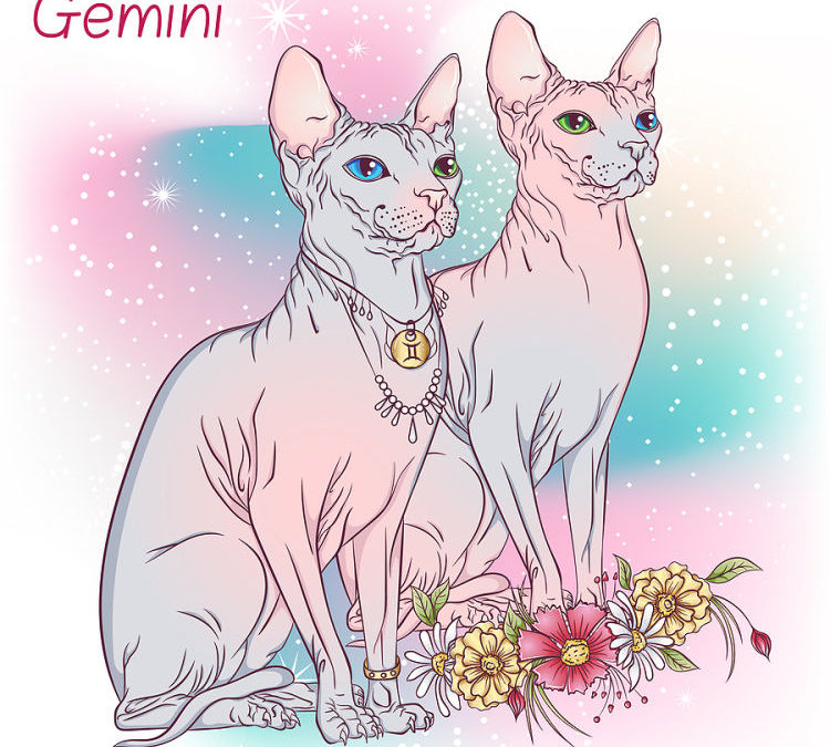 The Hit List – Words of Wisdom for Gemini Season