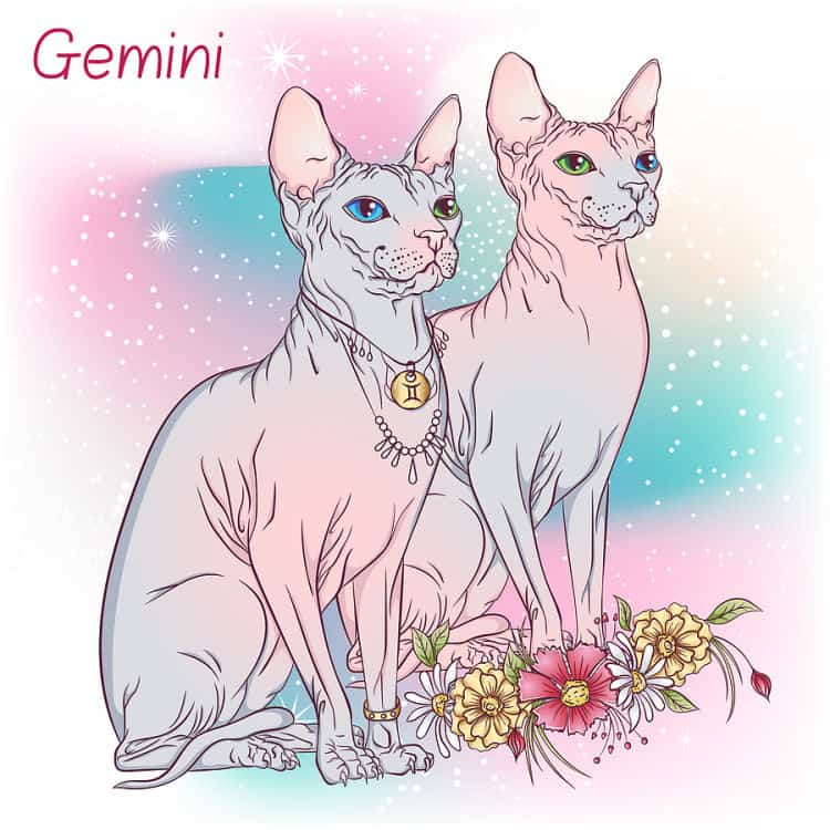 The Hit List - Words of Wisdom for Gemini Season