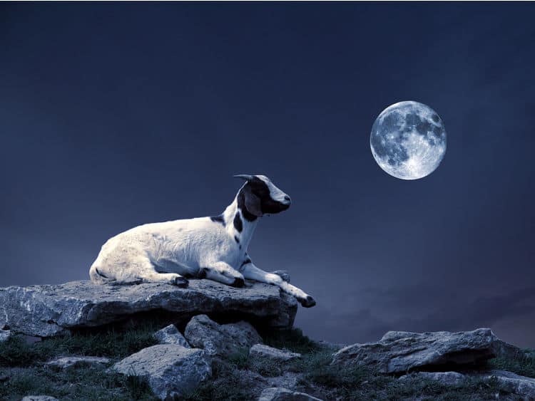 Full Moon in  Capricorn 2021 – and Tarot Readings for Each Zodiac Sign