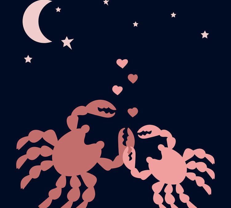 New Moon in Cancer 2021 – and Tarot Readings for Each Zodiac Sign