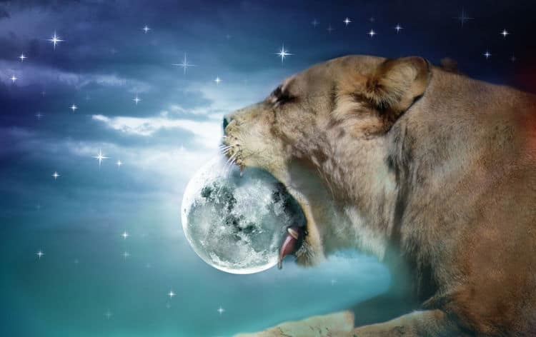 New Moon in Leo 2021 – and Tarot Readings for Each Zodiac Sign