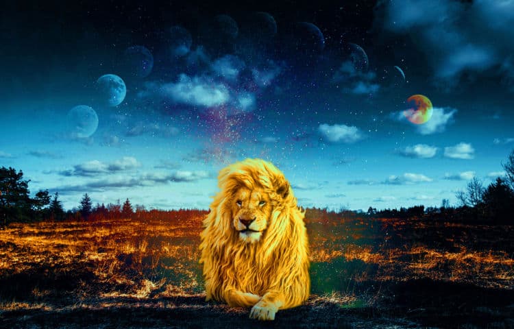 New Moon in Leo 2022 – and Tarot Readings for Each Zodiac Sign