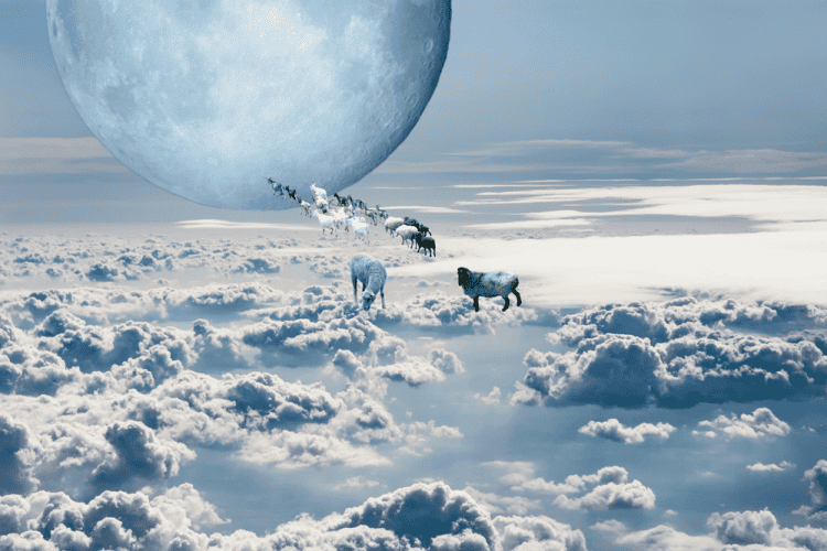 Full Moon in Capricorn 2024 - and Tarot Readings for Each Zodiac Sign