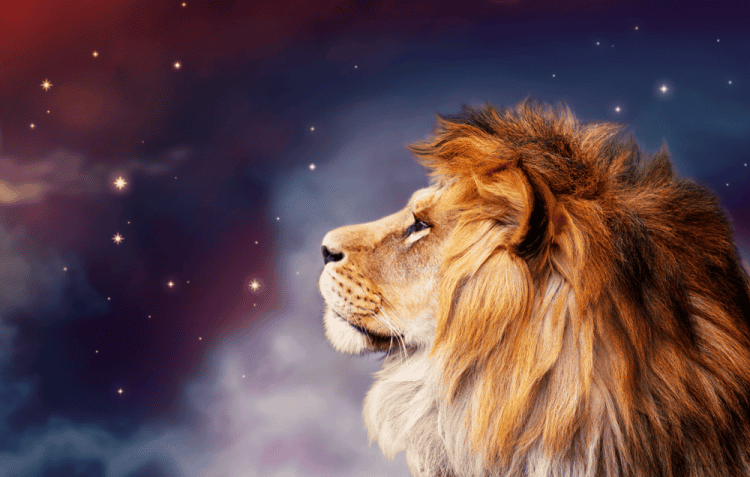 New Moon in Leo 2024 – and Tarot Readings for Each Zodiac Sign