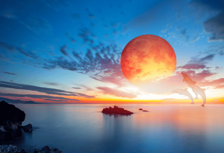 Lunar Eclipse in Pisces 2024 – and Tarot Readings for Each Zodiac Sign