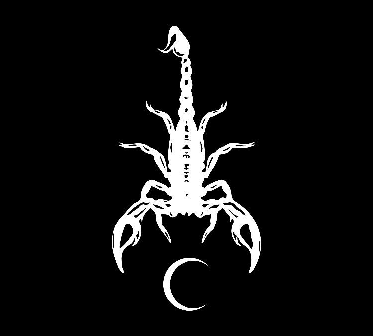 New Moon in Scorpio 2024 – and Tarot Readings for Each Zodiac Sign