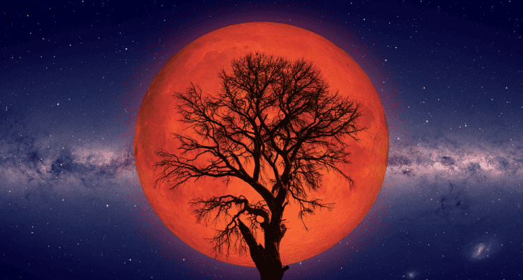 Lunar Eclipse in Virgo 2025 - and Tarot Readings for Each Zodiac Sign